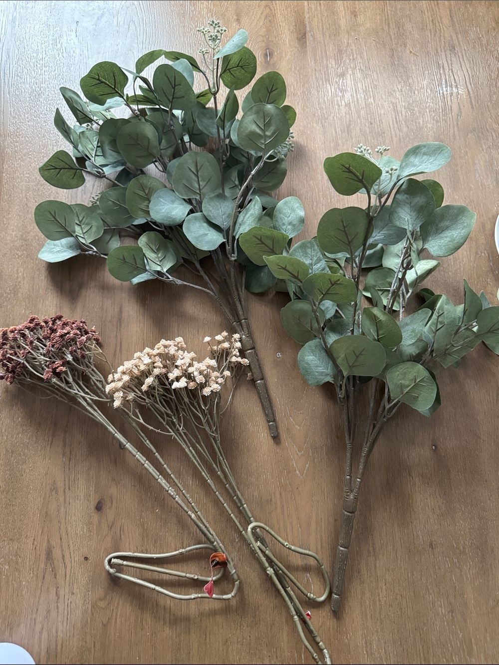 Floral stems